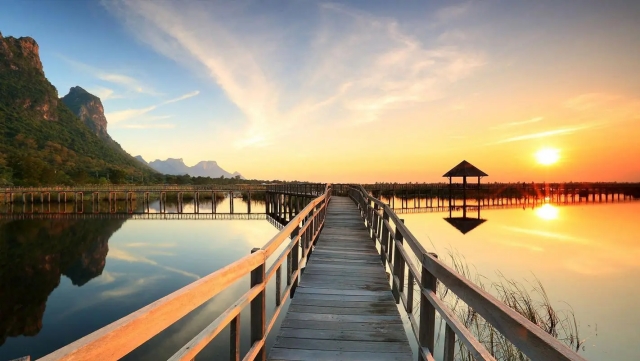 美高梅集团：园林绿化的几种栽植方法