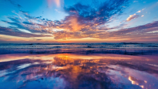 美高梅公司：园林绿化花草分隔带