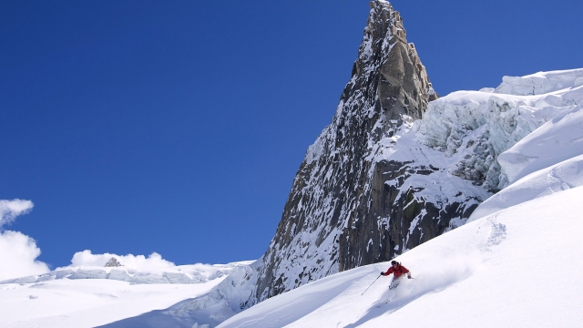 美高梅：园林绿化种植物的质保期