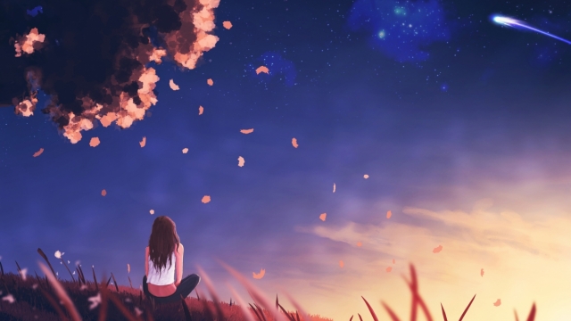 美高梅公司：园林绿化用黑色鹅卵石