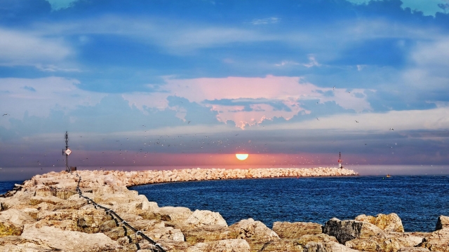 美高梅集团：园林绿化沙田柚