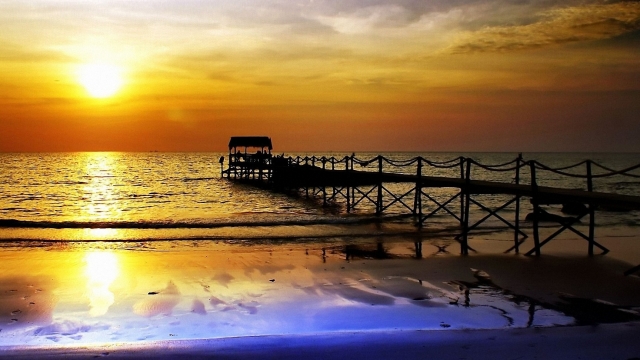 美高梅：园林绿化草莓种植