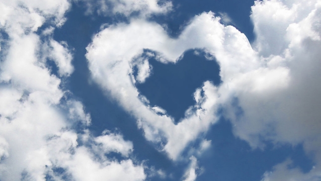 MGM：园林绿化遮雨布顶