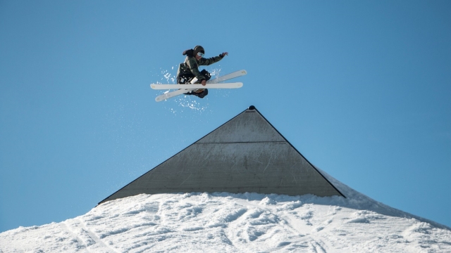 美高梅：园林绿化垃圾种类