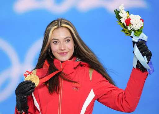 园林绿化植物的选择