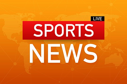 园林绿化一般种什么植物