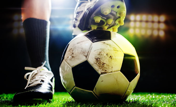 园林绿化病虫害逐渐增多