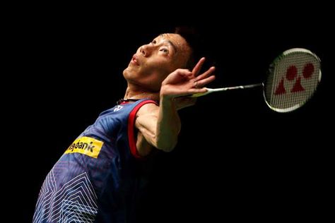 美高梅集团：园林绿化球形树木