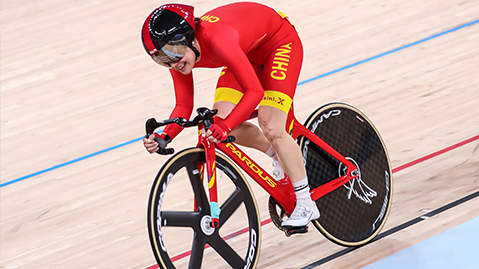 园林绿化为啥不栽果树